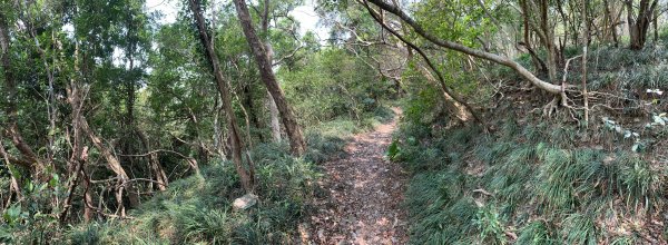 20250404屏東北獅子頭山-霧里乙山2757429