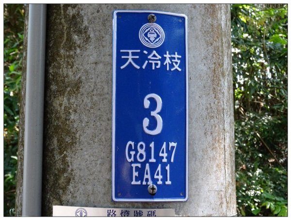 天冷山(新路線)台中/東勢1645446