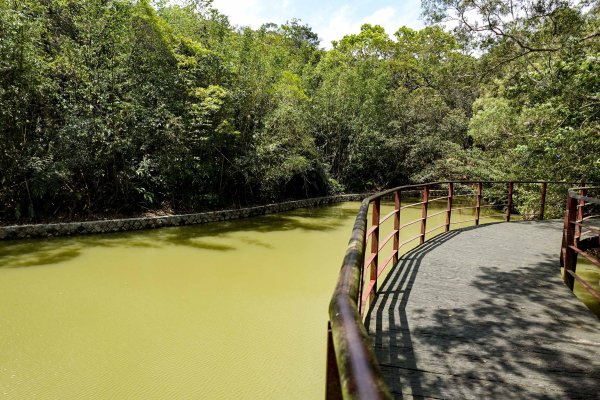 大崙頭尾山｜小百岳2756505