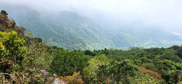 【中級山縱走】水雲三星，橫龍山，騰龍山，橫龍古道2742974