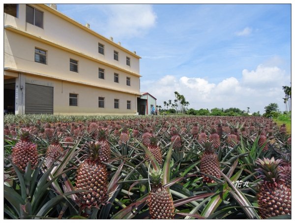 彰化/橫山觀日步道636162