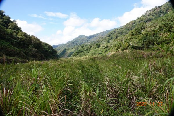 臺中 和平 百川山1931301