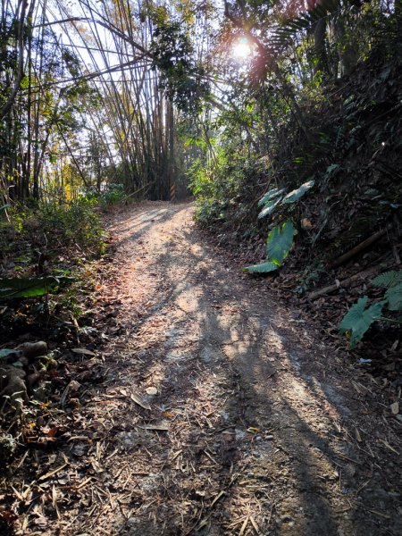 2026-02-10 白雲山2999915