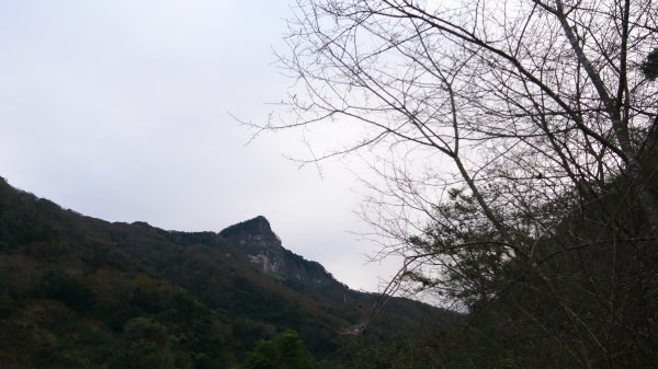 水雲三星之鳳-上島山(鳥嘴山)508302