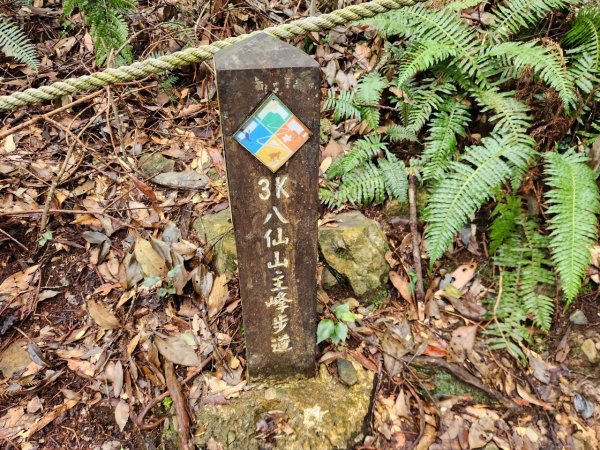 【中級山】谷關七雄八仙山2745074