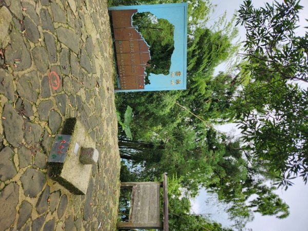 【中級山縱走】雲嘉八連峰（後棟仔山，大尖山，二尖山，馬鞍山，梨子腳山，太平山，大巃頂山及其西北峰）2821127