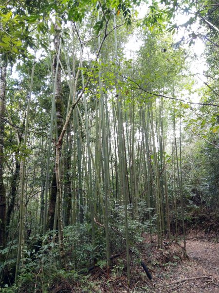 李棟山之堡430997