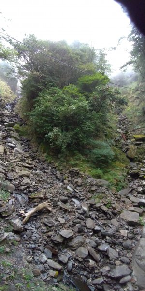 觀霧 檜山巨木群步道1090210