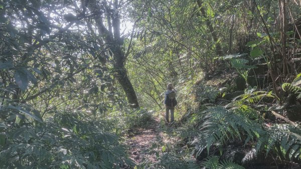 灣潭古道 & 北勢溪古道連走(淡蘭古道中路)2030139