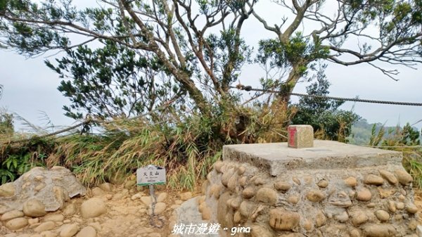 【苗栗三義】台灣百大必訪步道。 火炎山、南鞍古道O繞x火炎山下花海2954146