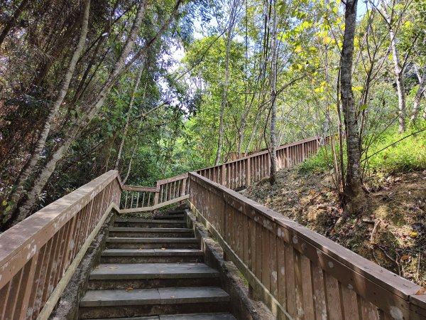 [百山百鳥尋旅-06/15] 2025_0830 貓囒山步道2875710