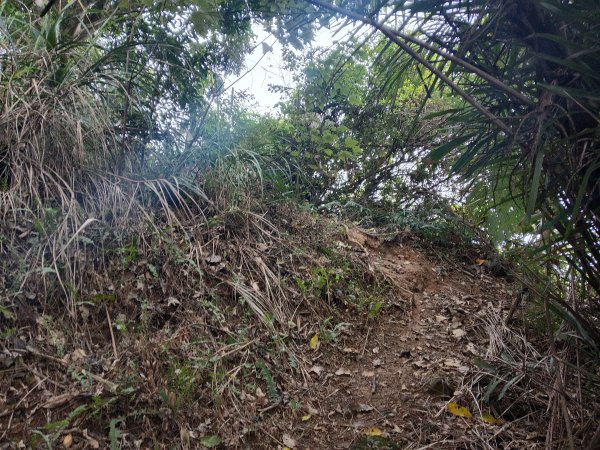 寶山鄉寶山水庫(寶山東峰+中峰+中西峰+西峰+西北峰)+尖山O型3012501