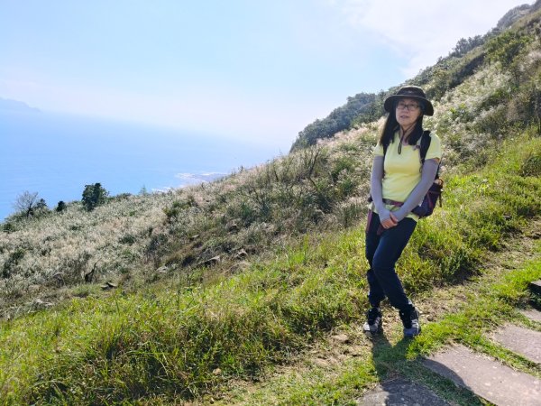 草嶺古道2025 芒花季2932027