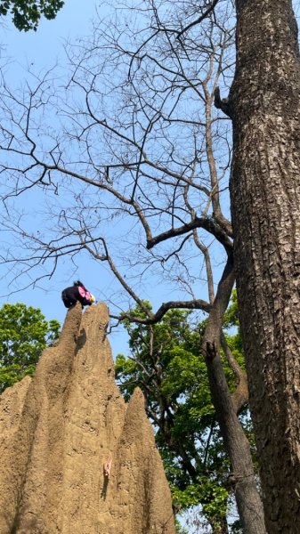 尼泊爾奇旺國家公園4天三夜2788974