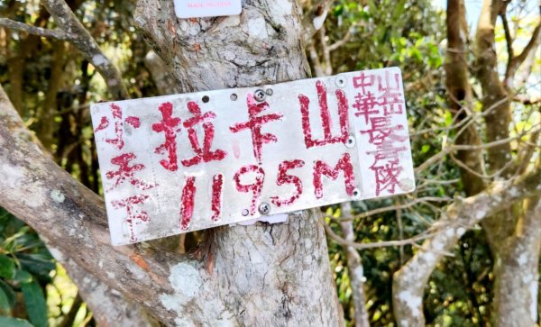 【中級山縱走】志繼山，東眼山，拉卡山，卡外山，東滿步道2742569