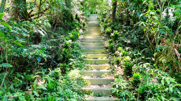 微笑山線烘爐地土地公段2860665