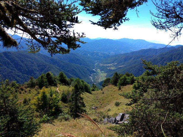 武陵四秀之桃山449051