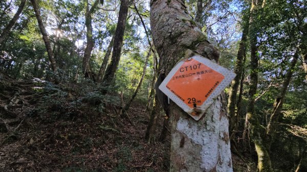 南插天山.魯培山.上宇內山(南插北峰)2989761