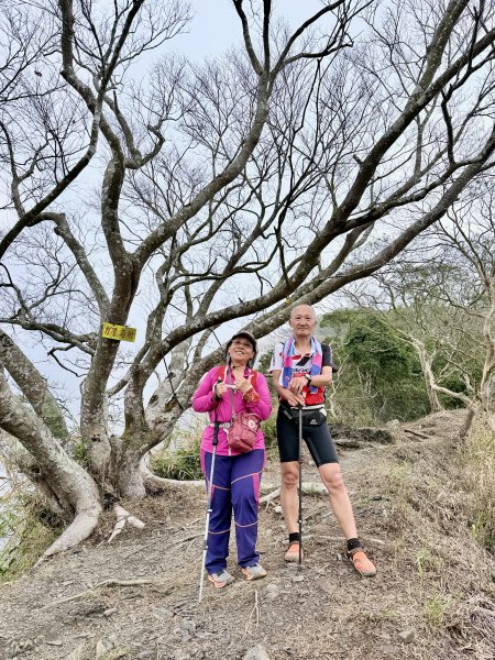 大漢林道登山趣(力里山.具馬奴山.崁頭窩山)  2026.3.283028045