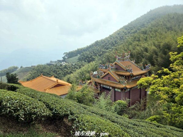 【嘉義梅山】雲嘉五連峰縱走3022300