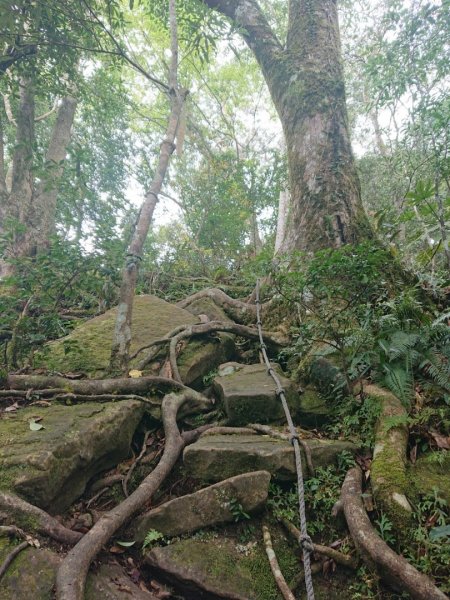 那結山（嘎色鬧部落線）893461