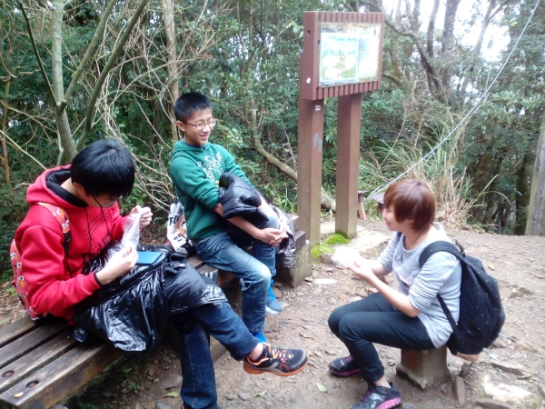 東眼山國家森林遊樂區 104.02.1652428