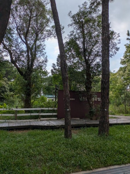 霄裡好風光二日遊2848171