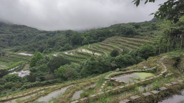 百年嵩山梯田&阡陌步道3051340
