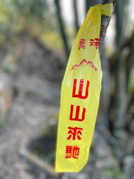 小百岳 三腳南山2686576