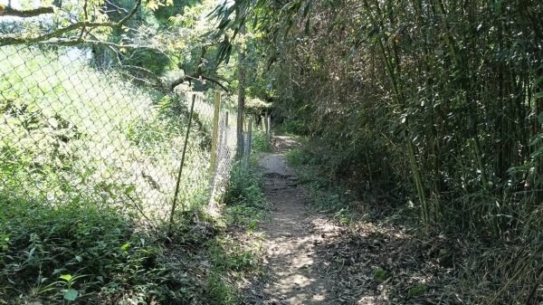 20251004 馬那邦山 - 珠湖 登山口2904908