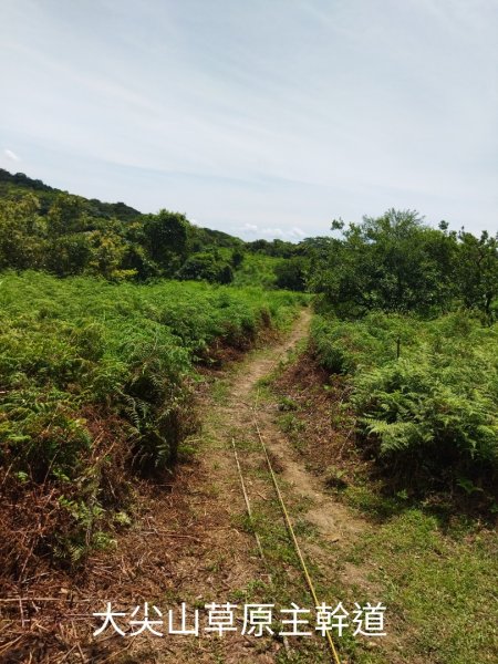 鹿堀坪越嶺古道-大草原-大尖池-大尖山-鹿堀坪古道O行1771793