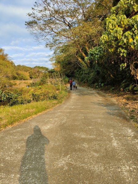 坑內坑森林步道2372126