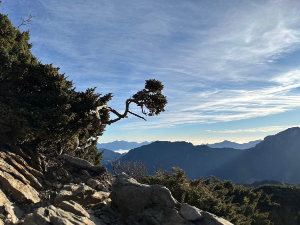 合歡東峰看日出|Mt. Hehuan East Peak|松雪樓|峯花雪月2389803