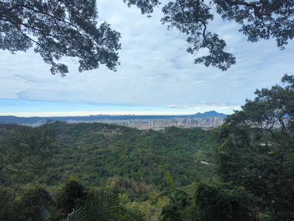 2026.01.25－微笑山線：【天上山系】烘爐地土地公段2994610