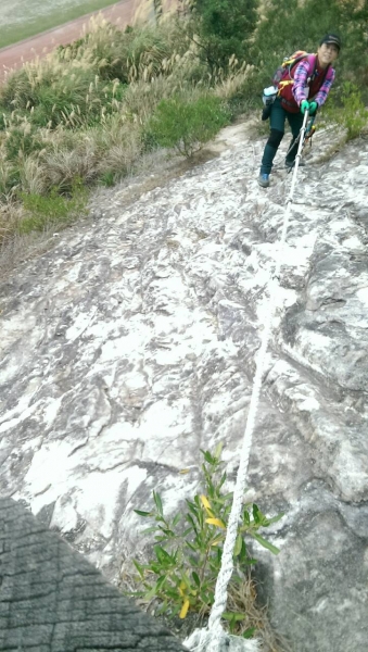 104.01.10  東華山>奇岩山> 唭哩岸山>軍艦岩>丹鳳山10029