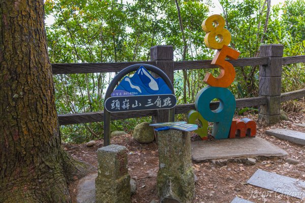 [台中]頭嵙山3130597