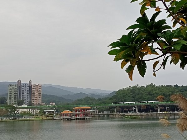 林蔭繁茂、綠草如茵的大湖公園【齊心鞋力尋寶去】1990388