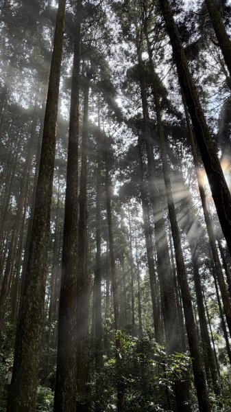 加里山 2025 12/282971712