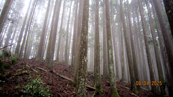 【油羅山/露營】 仙境舒活健走，雲端徜徉野趣！2887927