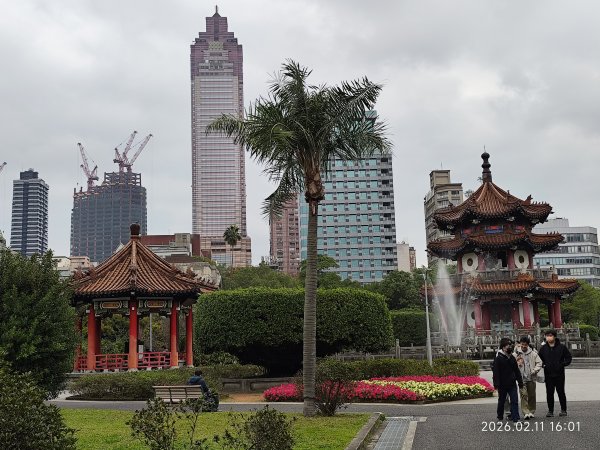【新春賞櫻樂】平菁街42巷、宜蘭頭城火車站、二二八和平公園、東湖樂活公園3007708