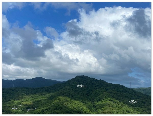 金龍湖、鷹石尖、老鷲尖、內溝山 O型一圈2966629