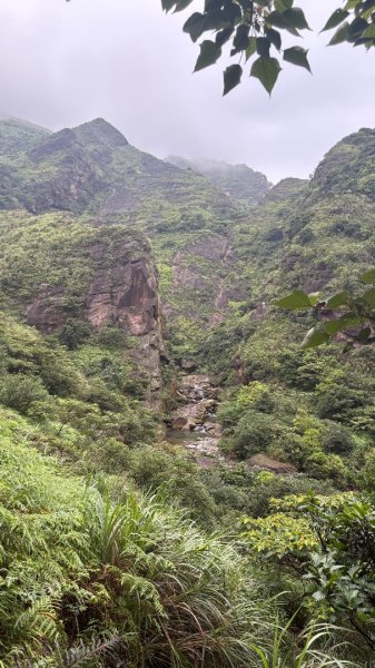 戲水2805579