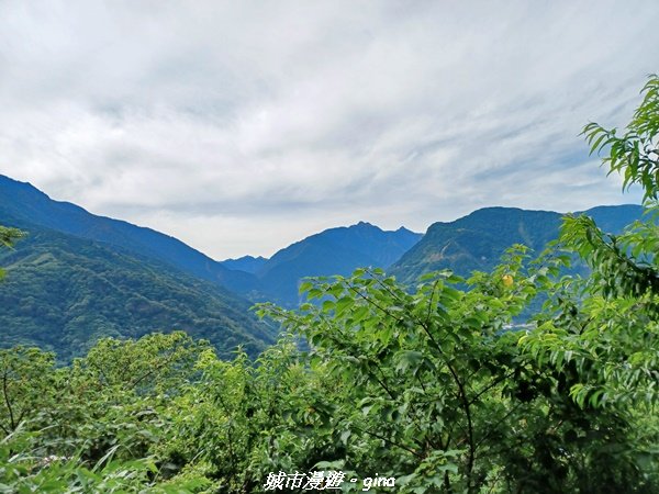 【南投信義】望鄉部落抬頭見玉山。 獵人古道連走、望美山、瓊山2274301