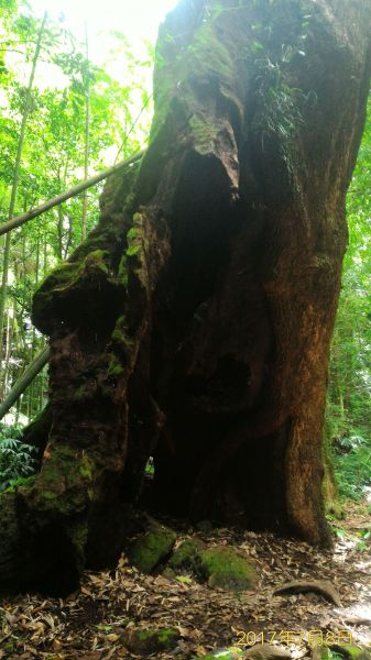 嘉南雲峰，石壁山，好望角142661