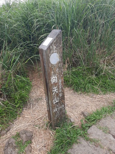 20230709 中正山縱走面天向天山，冰泰酥朵頤2211934