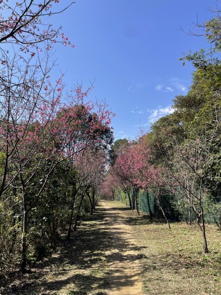 鳳鳴越嶺山佳2708064