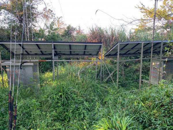 大凍山（小百岳）1117305