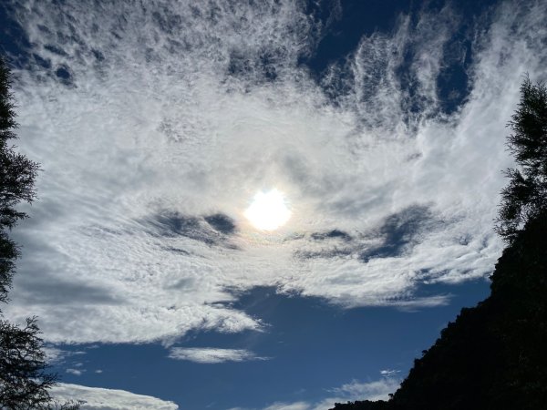 暗影山2604894