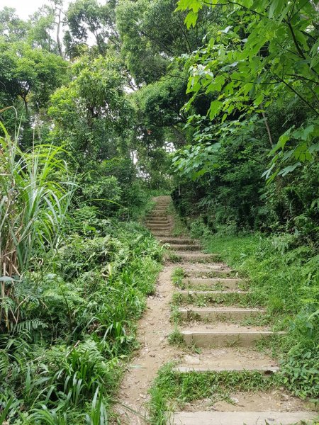 2019.05.15中和烘爐地南勢角山586155
