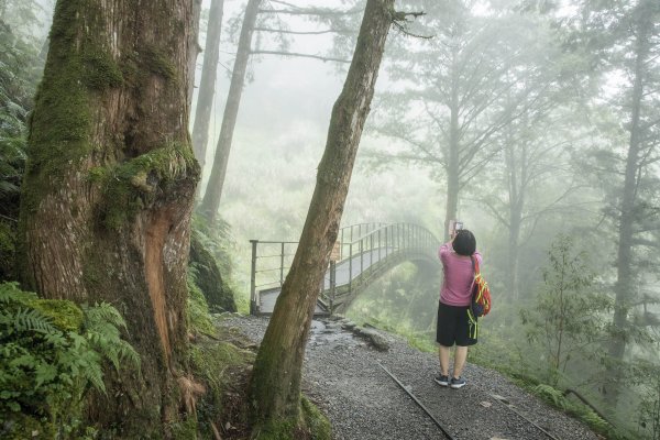 見晴步道/太平山1079616